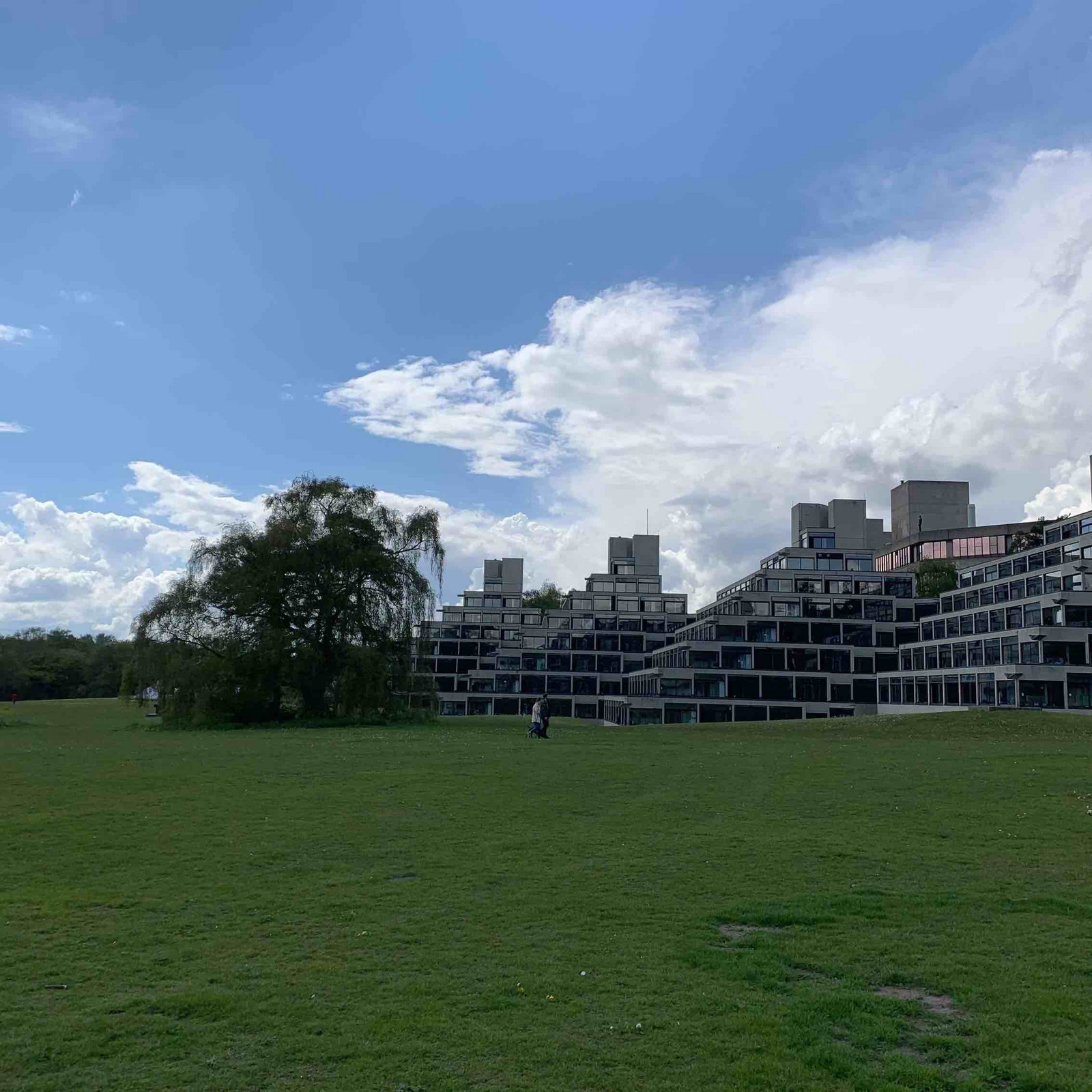 Student Experience of the pandemic