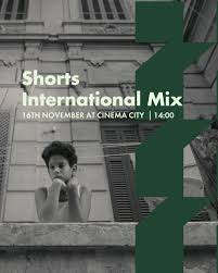 NORWICH FILM FESTIVAL - INTERNATIONAL MIX
