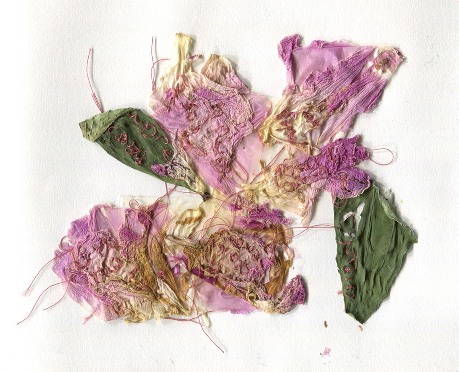 NUA MA Degree Show 2017