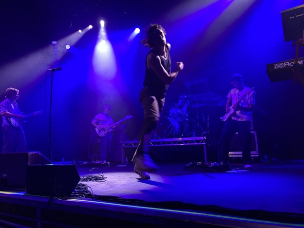 Sports Team - Fat Dog