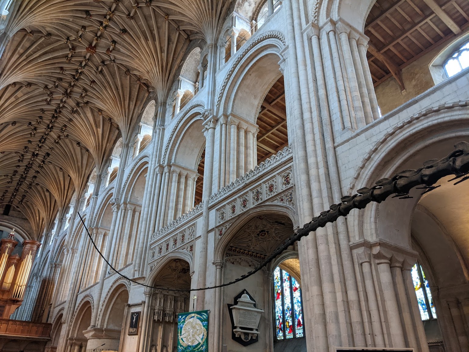 Dippy On Tour - A Natural History Adventure