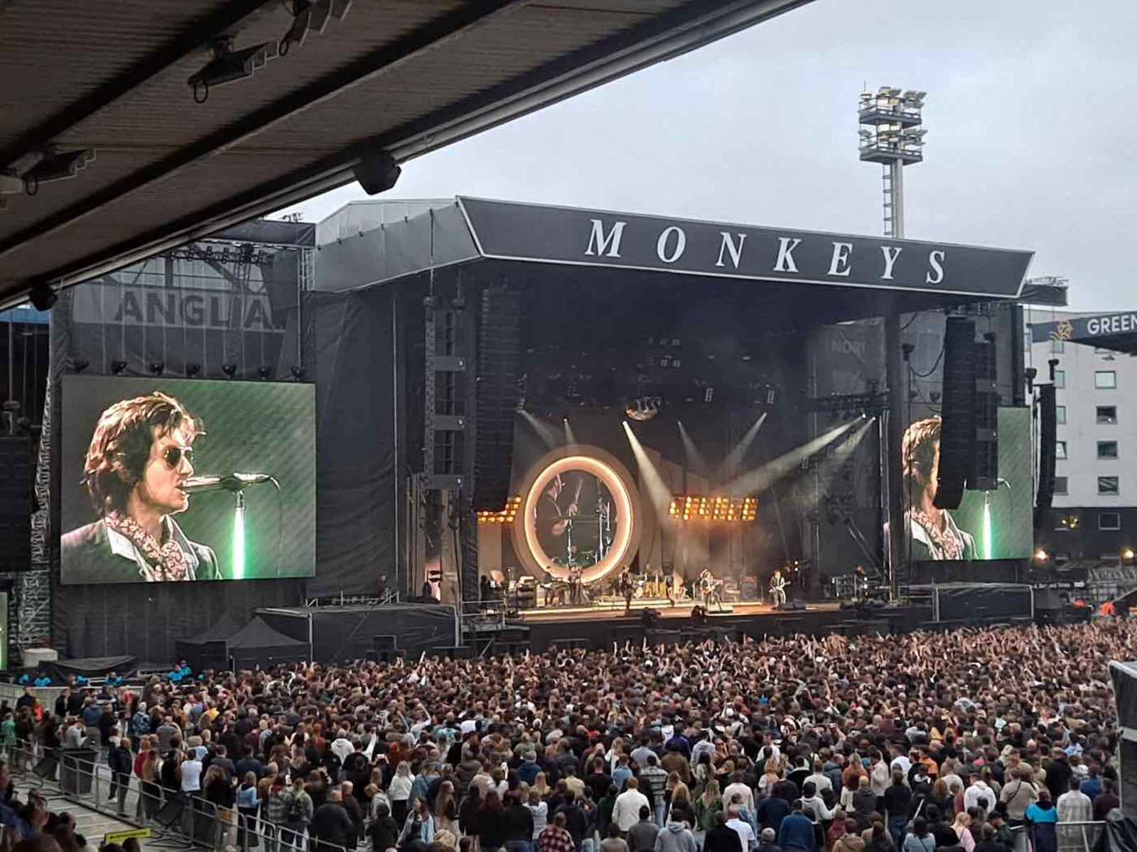 Arctic Monkeys - The Hives